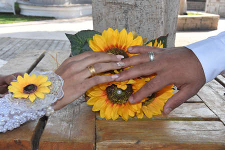 hands of newlyweds with gold wedding rings, yellow flowers. High quality photoの写真素材