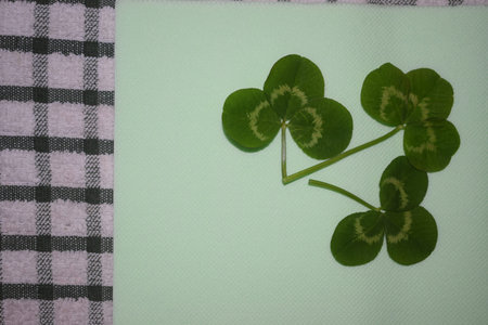sprigs of green clover leaves on a light green background, Patrick day. high quality photo