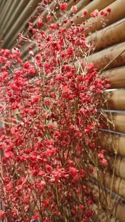 Red flowers on decoration wall design room nature. high quality photoの写真素材