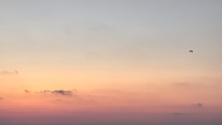 Sun sea, evening sunset orange blue landscape nature of the beach. high quality photoの写真素材