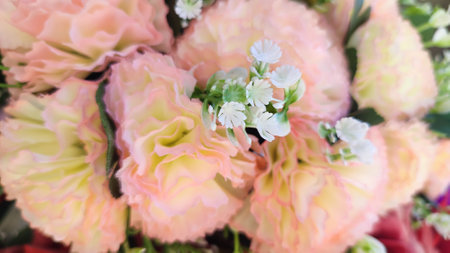 pink and white rose flowers objects. high quality photoの写真素材