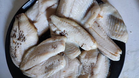 fish fillet on a platter, homemade food, cooking with proteins. high quality photo