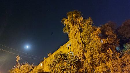 night landscape, house tree moon city. High quality photoの写真素材