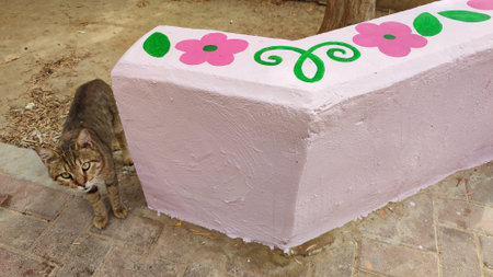 stone fence painted, drawing flower and leaves. High quality photoの写真素材