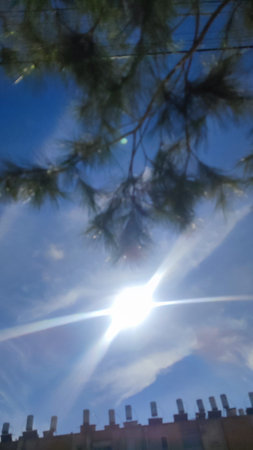 blue sky, white sun, clouds nature, treesの写真素材