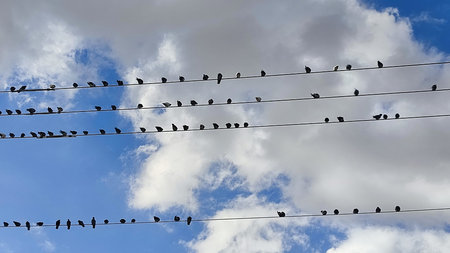 Blue light sky nature white clouds whether background. High quality photoの写真素材