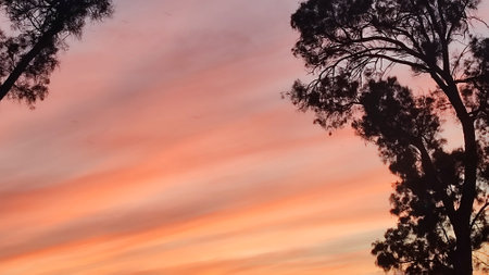 orange sunset, beautiful sky background, nature weather evening. High quality photoの写真素材