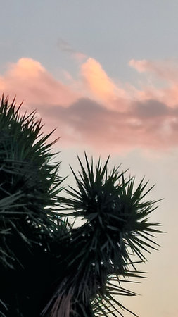 orange sunset, beautiful sky background, nature weather evening. High quality photoの写真素材