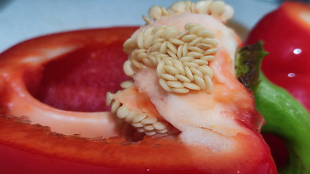 fresh red sweet bell pepper on a kitchen board, vegetables cooking, vegetarianism. High quality...