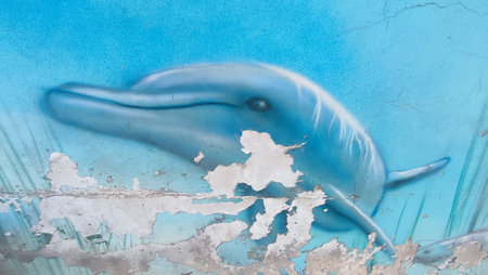 sea ??blue drawing on the wall,art drawing of a dolphin on background, a fragment of an image on an old street wall. High quality photoの写真素材