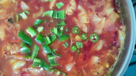 red borscht soup with parsley, food lunch cooking. High quality photo
