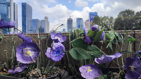 large artificial purple flowers, office buildings, street art. High quality photo