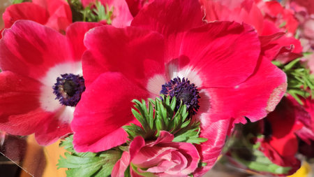 Pink beautiful flowers bouquets, plants flora spring summer gardens nature. High quality photoの写真素材