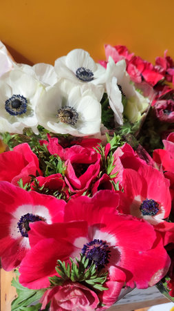 Pink white beautiful flowers bouquets, plants flora spring summer gardens nature. High quality photoの写真素材