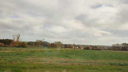 autumn landscape nature, green grass plain, gray sky clouds. High quality photo