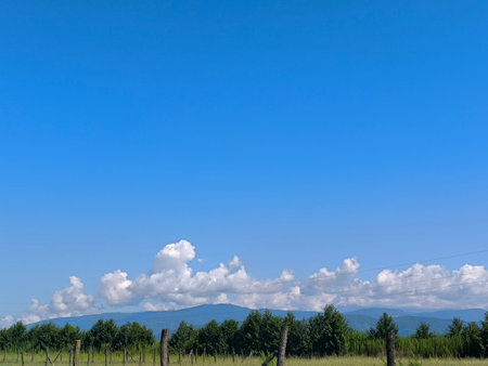 blue sky, white clouds, green trees grass background weather nature air atmosphere. Landscape High quality photoの写真素材