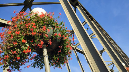 Bridge flowers sky tree nature city. High quality photoの写真素材
