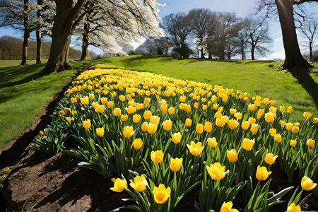 spring yellow flowers trees blue sky nature green grass bright colors flora alt illustration card season march. High quality 3d illustration generated ai altの写真素材