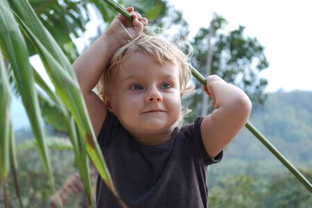 Little girl played in jungleの写真素材