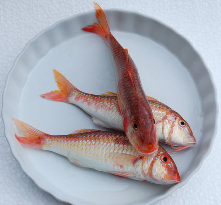 Three red fresh fishes on a white dish