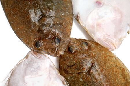 Four head of fresh flounder fishes from two sides on white backgroundの写真素材