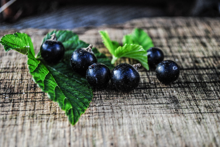 black currant on wooden table with leaf sprigの写真素材