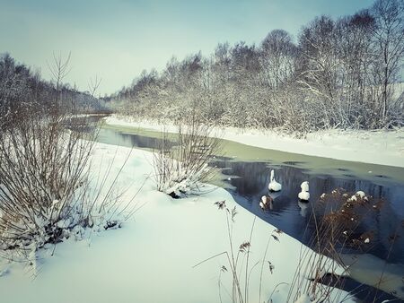 Unfrozen river winter landscape with blue water and trees covered with snowの写真素材