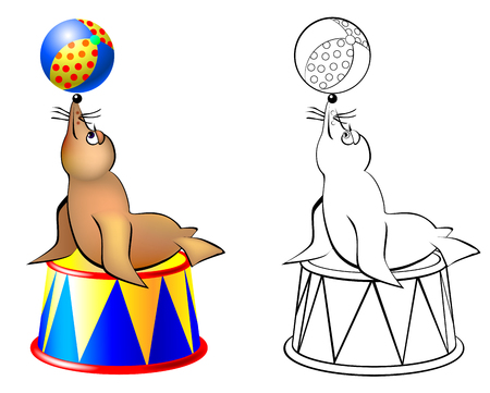 Colorful and black and white pattern seal in a circus, vector cartoon image.のイラスト素材