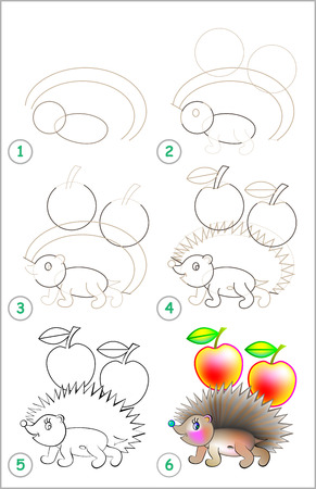 Page shows how to learn step by step to draw a hedgehog.のイラスト素材