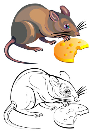 Colorful black and white pattern of rat, vector cartoon image.のイラスト素材