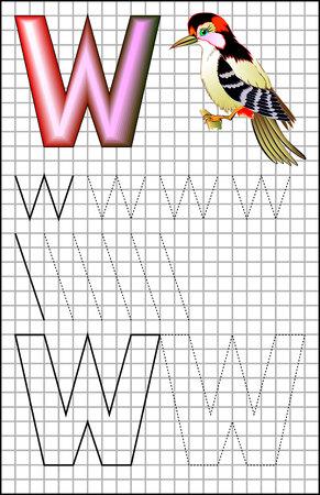 Educational page with letter W on a square paper. Developing skills for writing and drawing.のイラスト素材