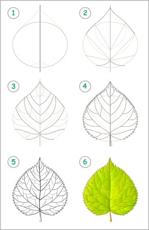 Page shows how to learn step by step to draw a linden leaf. Developing children skills for drawing and coloring. Vector image.のイラスト素材