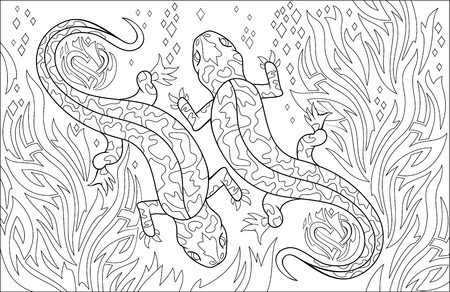 Black and white page for coloring. Drawing of couple salamanders. Worksheet for children and adults. Vector image.のイラスト素材