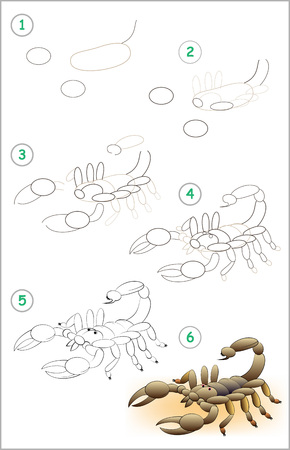 Page showing how to draw step by step a scorpion.のイラスト素材