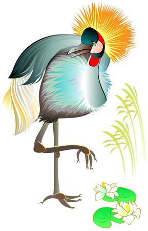 Illustration of beautiful crowned crane, vector cartoon image.のイラスト素材