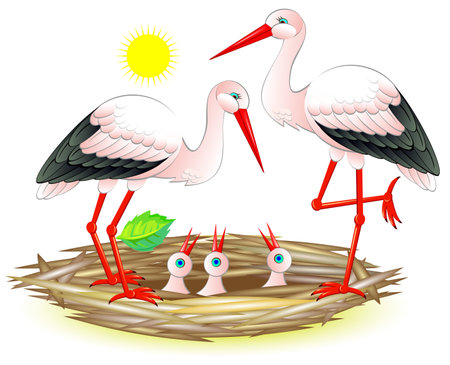 Illustration of happy stork family with their chicks in the nest. Vector cartoon image.のイラスト素材