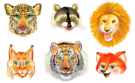 Set of different wild animals heads on white background. Vector cartoon image.のイラスト素材