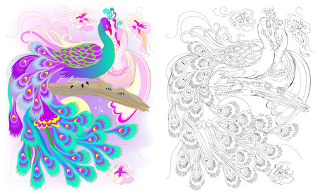 Colorful and black and white pattern for coloring. Fantasy drawing of peacocks couple. Worksheet for children and adults. Vector image.のイラスト素材