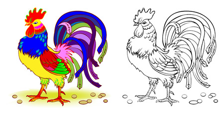 Fantasy illustration of cute rooster. Colorful and black and white page for coloring book. Worksheet for children and adults. Vector cartoon image.のイラスト素材