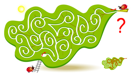 Logic puzzle game with labyrinth for children and adults. Help the ladybird find the way in oak leaf to his friend and draw the line. Vector cartoon image.のイラスト素材