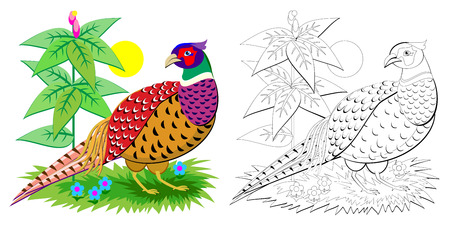 Fantasy illustration of cute pheasant with bright feathering. Colorful and black and white page for coloring book for kids. Printable worksheet for children. Vector cartoon image.のイラスト素材