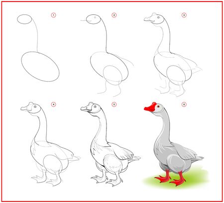 Page shows how to learn to draw step by step cute goose from farm. Developing children skills for drawing and coloring. Printable worksheet for kids school exercise book. Online education.のイラスト素材