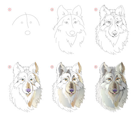 How to learn to draw sketch of the fairy tale wolfs head. Creation step by step watercolor painting....