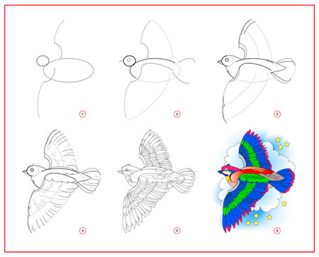 How to draw cute flying bird. Educational page for children. Creation step by step animal illustration. Printable worksheet for kids school exercise book. Online education.のイラスト素材