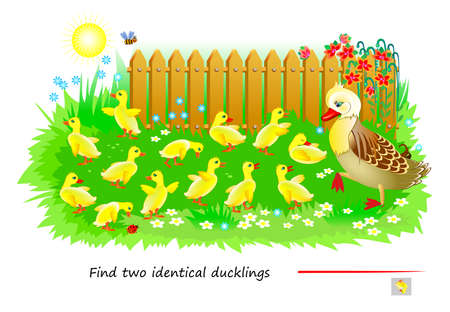 Logic puzzle game for children and adults. Find two identical ducklings. Memory exercises for seniors. Page for brain teaser book. Kids activity sheet. IQ test. Play online. Vector illustration.のイラスト素材