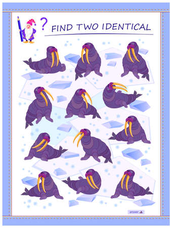 Logic puzzle game for children and adults. Find two identical walruses. Memory exercises for seniors. Page for kids brain teaser book. Developing spatial thinking. IQ test. Play online.のイラスト素材