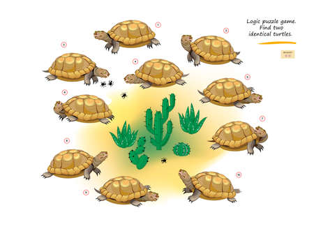 Logic puzzle game for children and adults. Find two identical turtles. Memory exercises for seniors. Page for kids brain teaser book. Developing spatial thinking. IQ test. Play online. Vector image.のイラスト素材