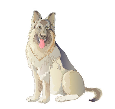 Illustration of shepherd dog. Domestic animals. Hand-drawn vector drawing. Isolated sketch on white background. Print for children book, fabric, fashion, decoration, embroidery, wallpaper.のイラスト素材