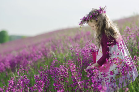 Beautiful, young girl on the fieldの写真素材