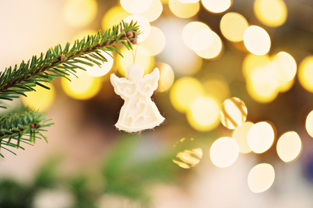 Tree, Christmas. Fir branch in detailsの写真素材